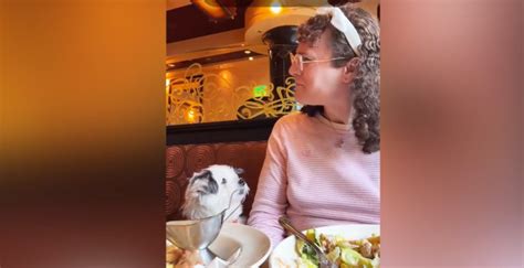 Anti-trans rant at San Francisco Cheesecake Factory caught on video